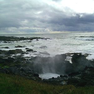 Meet your Posher, Kris